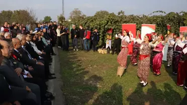Yalova'da Coğrafi İşaretli Kivi Hasadı Başladı