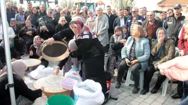 Manyas'ta 1. Kazak Fasulyesi Hasat Festivali Düzenlendi