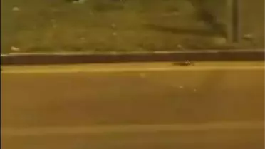 Diyarbakır'da Takla Atan Araçta 1 Yaralı