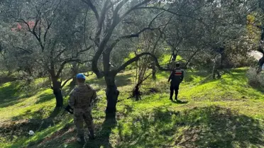 Zeytin Hasadı İçin Jandarma Tedbirleri