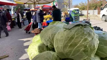 Eskişehir'de Dev Lahanalara İlgi
