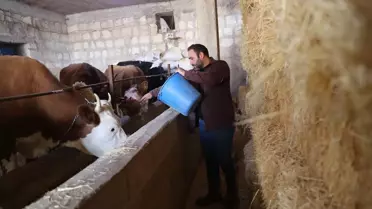 Veteriner İpek'in Süt İşletmesi Büyüyor