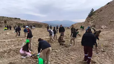 Hüyük'te Fidan Dikimi Etkinliği