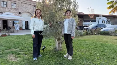 Japon Şef'ten Türk Zeytinyağı Tanıtımı