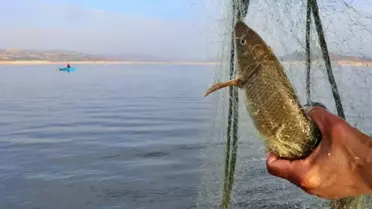 Kaçak balık avı pahalıya patladı