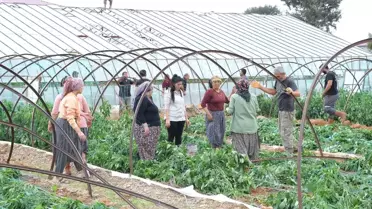 Mersin'de Fırtına ve Hortum Seraları Vurdu