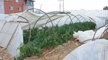 Bozyazı'da Hortum Seraları Vurdu