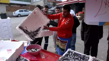 Samsunspor'un Başarısına Özel Balık İndirimi