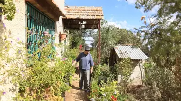 Amir Receb'in Bitki Koleksiyonu Tehdit Altında