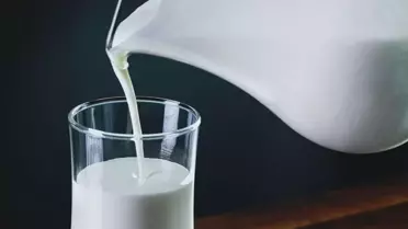 Süt dokunuyor diye hemen laktozsuz ürünlere yönelmeyin!
