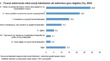 2024'te Hizmet-Ticaret Sektöründe Enerji Tüketimi