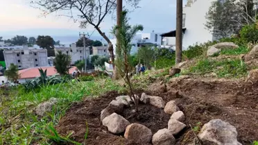 Bodrum'da Fidan Dikim Etkinlikleri Düzenlendi