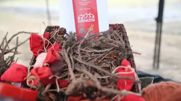 Edirne Kırmızısı Yeniden Canlanıyor