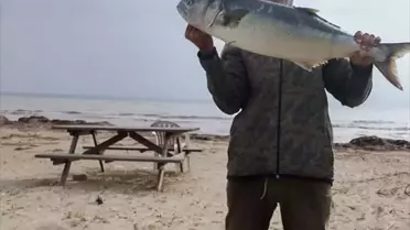 Gelibolu'da Amatör Balıkçı 5 Kilogram Kofana Yakaladı