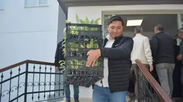 Gömeç'te 50 Bin Enginar Fidesi Dağıtıldı