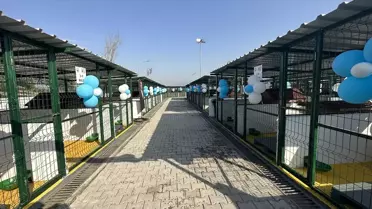 Arsuz'da Sokak Hayvanları Merkezi Açıldı