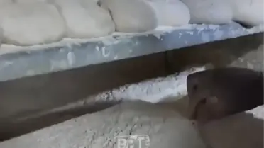 İstanbul'da ekmek fırınında mide bulandıran görüntüler