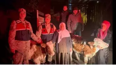 Çalınan Hayvanlar Bulundu