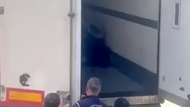 Sakarya'da 24 Düzensiz Göçmen Yakalandı