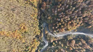 Sonbahar Renkleri Sinop'ta