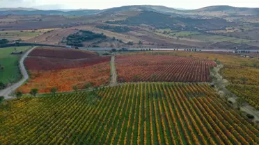 Kula'da Sonbahar Renkleri