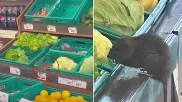 3 harfli market zincirinde skandal görüntü