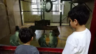 Çocuklar Ara Tatil'de Gaziantep Doğal Yaşam Parkı'na Akın Etti