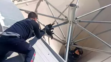 Antalya'da Mahsur Kalan Kedi İtfaiye Tarafından Kurtarıldı