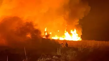 Nehil Sazlığı'nda Yangın