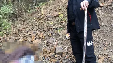 Alzheimer Hastası Bingöl'de Ölü Bulundu