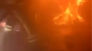 Bursa'da Kuruyemiş Fabrikasında Yangın