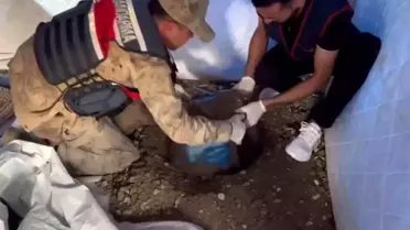 Hatay'da Uyuşturucu Operasyonu: Tutuklama