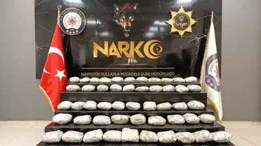 Van'da 19 Kilogram Skunk Ele Geçirildi