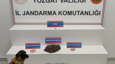 Yozgat'ta Uyuşturucu Operasyonu