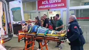 Zeytin Bahçesinde Düşen Yaşlı Adam Yaralandı