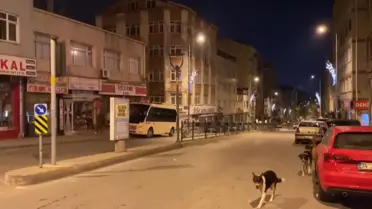 Balıkesir'de 4.5 Büyüklüğünde Deprem