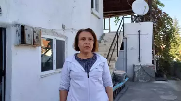 Arı Sokması Sonrası Hastanelik Olan Kadın, Yerel Yönetimi Eleştirdi