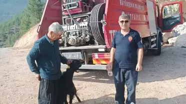 Kayalıkta Mahsur Kalan Keçi Kurtarıldı