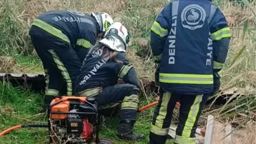 Fosseptik Çukuruna Düşen Köpek Kurtarıldı