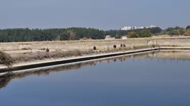 Diyarbakır'da Kaybolan Polis Memuru Aranıyor