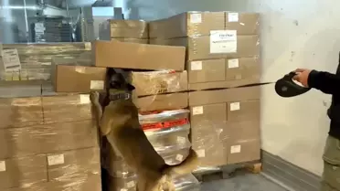 Edirne'de Uyuşturucu Operasyonu: TIR'da 66 Kilo Ele Geçirildi