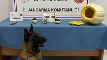 Otobüste Uyuşturucu Yakalandı