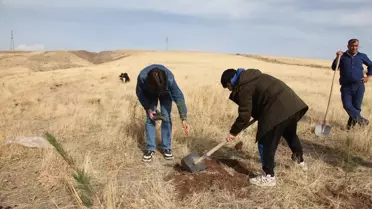 Ahlat'ta 3 Bin Fidan Dikildi