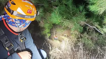 Uçuruma Düşen Turistler Kurtarıldı