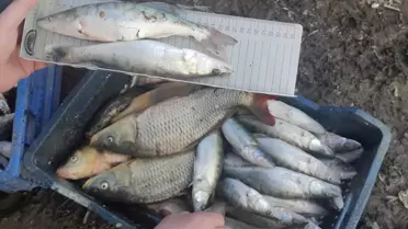 Beyşehir'de Özel Gereksinimliler İçin Spor Etkinliği