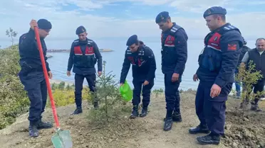 Sinop'ta Ağaçlandırma Etkinliği
