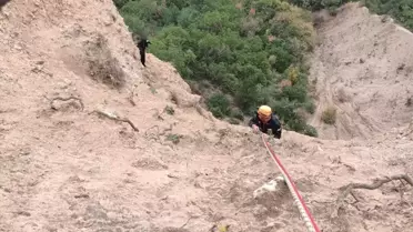 Mahsur Keçi Kurtarıldı