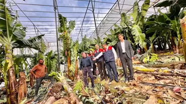 Bozyazı'da Hortum Zararını İnceledi