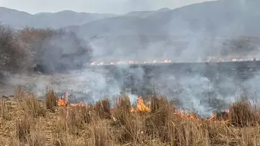 Bingöl'de Anız Yangını Kontrol Altına Alındı