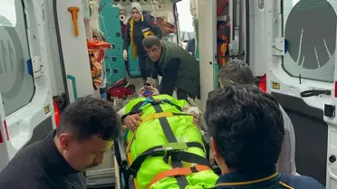 Ayı Saldırısında İmam Yaralandı